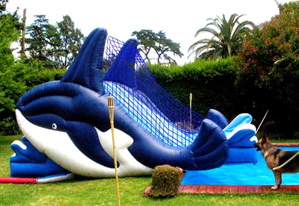 alquiler de inflables acuaticos tobogan ballenas