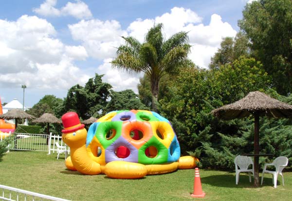 alquiler de inflable tortuga manuelita